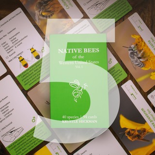 Five Decks - Native Bee Flashcards!