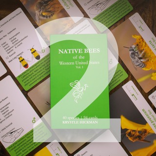 Two Decks - Native Bee Flashcards!