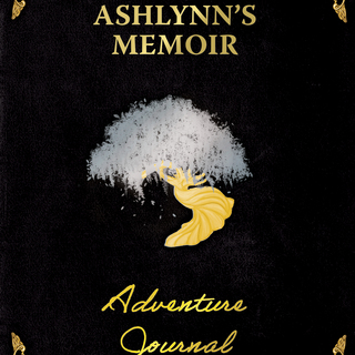 ST Forge Adventure Journal - Black