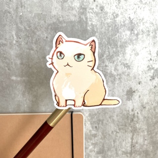 Sam Sticker