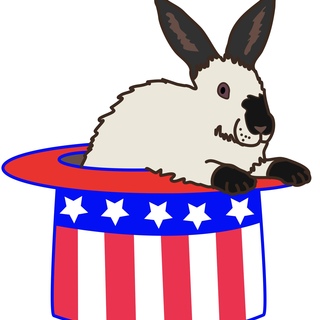 Acrylic Independence Day Pin