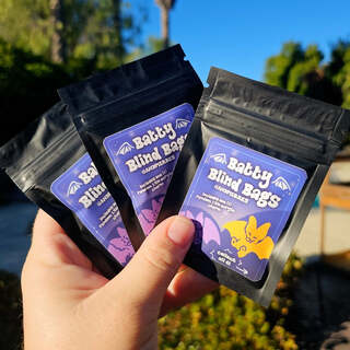 Batty Blind Bag - Series 1