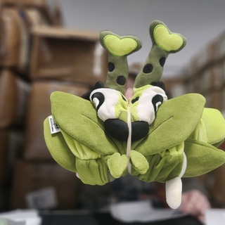 CUDDLE BUG🐛OOMURA🐛