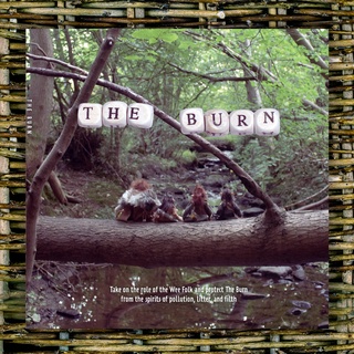 The Burn Softcover