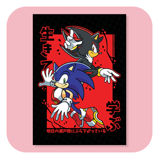 Print - SonicCageDome - Live And Learn