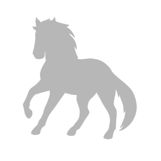 Horse Pin