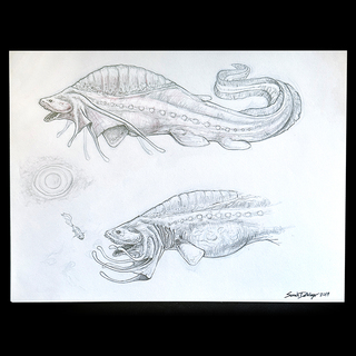 Original - Flickerjaw Snare Shark Hunt