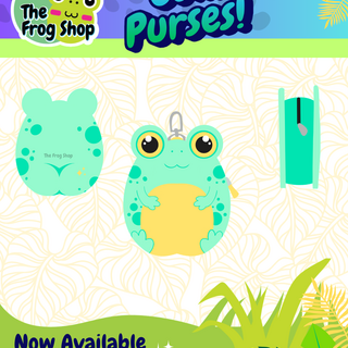 Turquoise Coin Purse