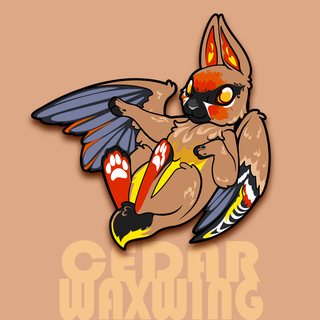 Cedar Waxwing Wabbit Pin