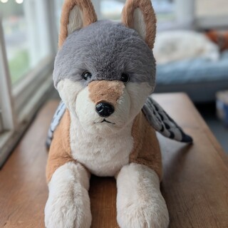 Seven's Coyote Pigeon