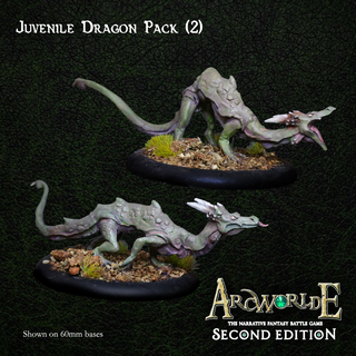 (Resin) Juvenile Dragon Pack