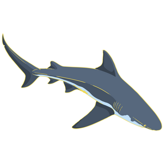 Bullshark Mini Pin