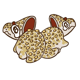 Jian Dui Protoceratops