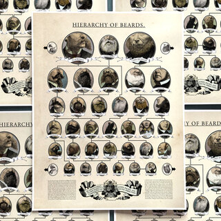 POSTER: Hierarchy of Beards 16x20"