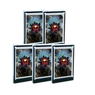 5x TCG Magnetic Card Holder (35 pt)