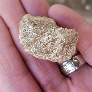 A Cool Rock From My Yard