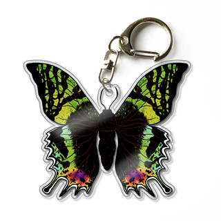 Madagascan Sunset Moth 2.5" Acrylic Keychain Charm