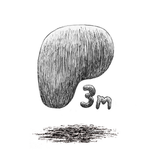 Patreon access - 3 months