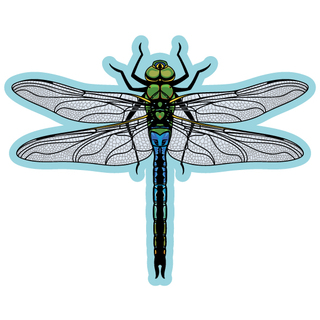 Dragonfly Sticker