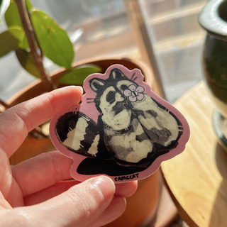 Raccoon Matte Vinyl Sticker