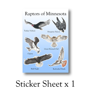 Raptors in Flight Sticker Sheet