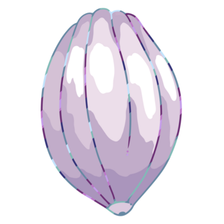 EX Creator Pin Cocoa Pod