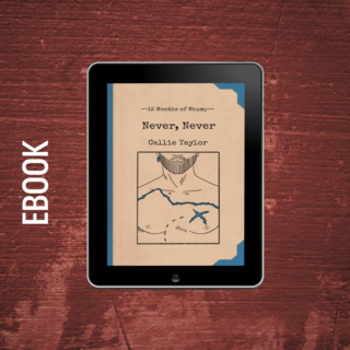 Never, Never Ebook