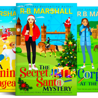 Paperback mystery pack - 5 books from R.B. Marshall