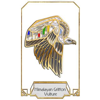 Himalayan Griffon Vulture Portrait Pin
