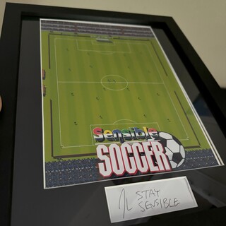 10 x 8" mounted signed print - Jon Hare - Sensible Soccer
