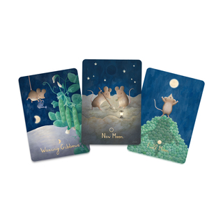 Lunar Phase Cards Pack