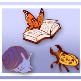 Mini Pin Set - Entomologist