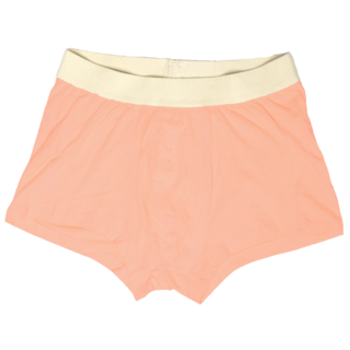 Ladies' Boyfriend Brief