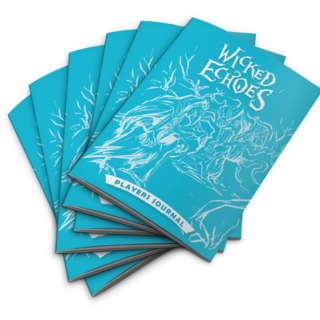 6 Pack of Players Journals