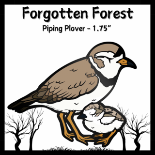 Piping Plover Pin