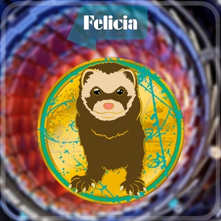 Felicia Pin