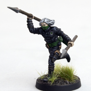 Veteran Defender (Hero)