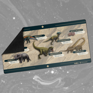 Dinosaur Timeline Game Mat