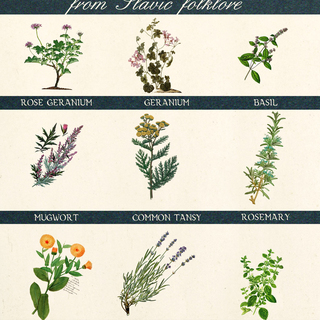 Fragrant Herbs and Plants that Repel Bugs Digital Fact Sheet
