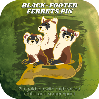 Un-endangered Black-Footed Ferrets Pin
