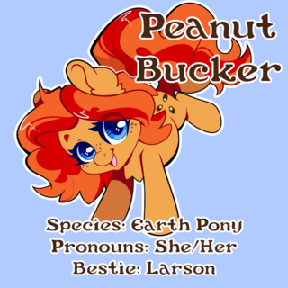 Peanut Bucker Sticker