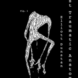 Post-Traumatic Anatomy - Chapbook