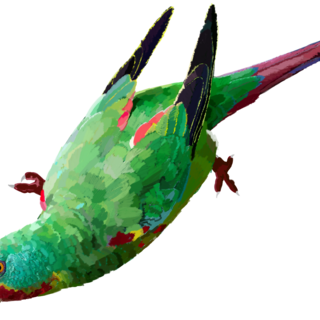 Swift Parrot Enamel Pin