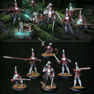 (Resin) Imperial Starter Warband
