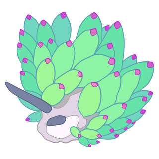 Sea Slug Pin