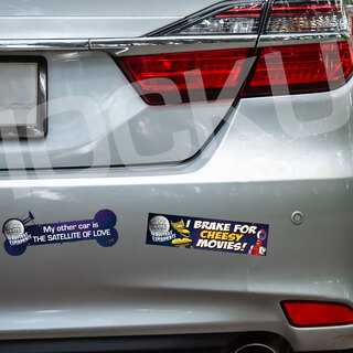 Bumper Sticker or Window Cling 2-Pack