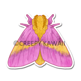 Rosy Maple Moth 3" Vinyl Sticker