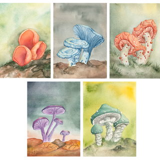Art printset Forest Treasures
