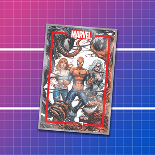 Portfolio - Spider-Man