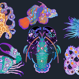 Warped Ocean Pins - Rainbow